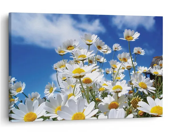 Multicolor_16_X_24_Inch,_Pine_Wood_Framed_Canvas_Paintings_|_For_Home_Decor,_Ready_To_Wall_Hanging,_Premium_Painting_|_For_|_Bedroom,_Living_Room,_Office_Wall_Decoration_|_Wall_Art_Painting,_Ct1734