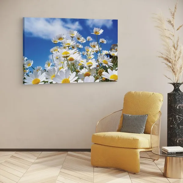 Multicolor_16_X_24_Inch,_Pine_Wood_Framed_Canvas_Paintings_|_For_Home_Decor,_Ready_To_Wall_Hanging,_Premium_Painting_|_For_|_Bedroom,_Living_Room,_Office_Wall_Decoration_|_Wall_Art_Painting,_Ct1734