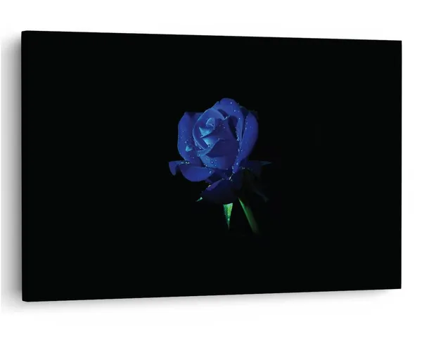 Multicolor_16_X_24_Inch,_Pine_Wood_Framed_Canvas_Paintings_|_For_Home_Decor,_Ready_To_Wall_Hanging,_Premium_Painting_|_For_|_Bedroom,_Living_Room,_Office_Wall_Decoration_|_Wall_Art_Painting,_Ct1737