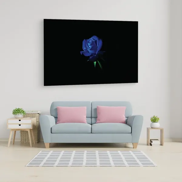 Multicolor_16_X_24_Inch,_Pine_Wood_Framed_Canvas_Paintings_|_For_Home_Decor,_Ready_To_Wall_Hanging,_Premium_Painting_|_For_|_Bedroom,_Living_Room,_Office_Wall_Decoration_|_Wall_Art_Painting,_Ct1737