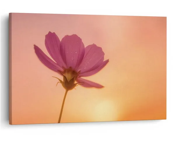 Multicolor_16_X_24_Inch,_Pine_Wood_Framed_Canvas_Paintings_|_For_Home_Decor,_Ready_To_Wall_Hanging,_Premium_Painting_|_For_|_Bedroom,_Living_Room,_Office_Wall_Decoration_|_Wall_Art_Painting,_Ct1739