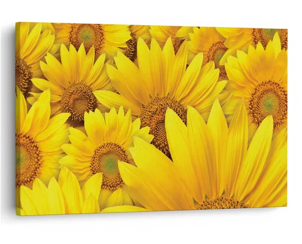 Multicolor_16_X_24_Inch,_Pine_Wood_Framed_Canvas_Paintings_|_For_Home_Decor,_Ready_To_Wall_Hanging,_Premium_Painting_|_For_|_Bedroom,_Living_Room,_Office_Wall_Decoration_|_Wall_Art_Painting,_Ct1740