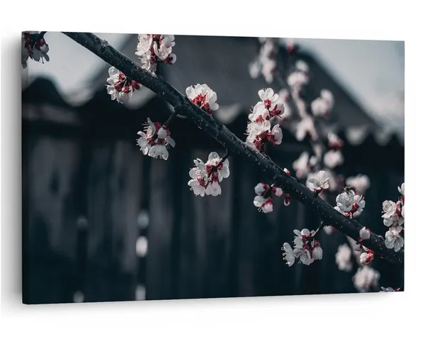Multicolor_16_X_24_Inch,_Pine_Wood_Framed_Canvas_Paintings_|_For_Home_Decor,_Ready_To_Wall_Hanging,_Premium_Painting_|_For_|_Bedroom,_Living_Room,_Office_Wall_Decoration_|_Wall_Art_Painting,_Ct1741