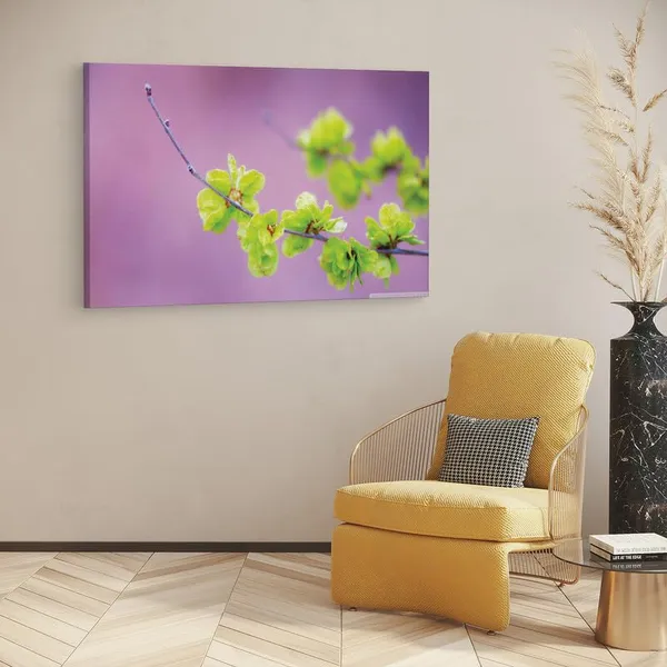 Multicolor_16_X_24_Inch,_Pine_Wood_Framed_Canvas_Paintings_|_For_Home_Decor,_Ready_To_Wall_Hanging,_Premium_Painting_|_For_|_Bedroom,_Living_Room,_Office_Wall_Decoration_|_Wall_Art_Painting,_Ct1744