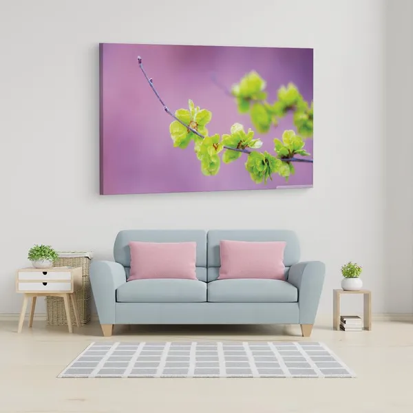 Multicolor_16_X_24_Inch,_Pine_Wood_Framed_Canvas_Paintings_|_For_Home_Decor,_Ready_To_Wall_Hanging,_Premium_Painting_|_For_|_Bedroom,_Living_Room,_Office_Wall_Decoration_|_Wall_Art_Painting,_Ct1744