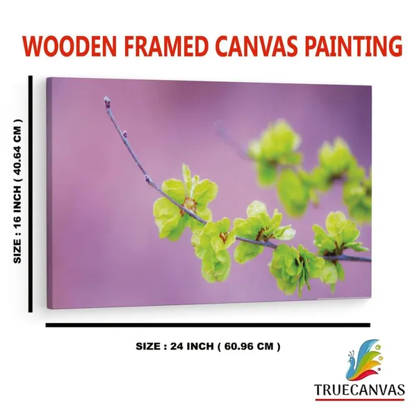 Multicolor_16_X_24_Inch,_Pine_Wood_Framed_Canvas_Paintings_|_For_Home_Decor,_Ready_To_Wall_Hanging,_Premium_Painting_|_For_|_Bedroom,_Living_Room,_Office_Wall_Decoration_|_Wall_Art_Painting,_Ct1744