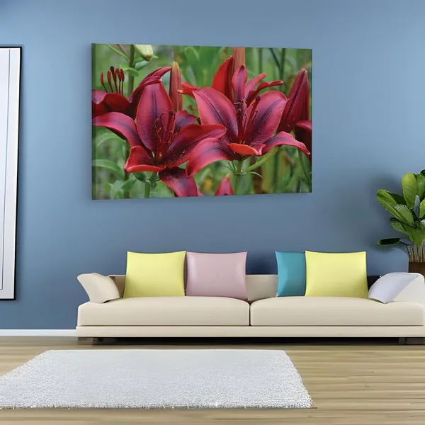 Multicolor_16_X_24_Inch,_Pine_Wood_Framed_Canvas_Paintings_|_For_Home_Decor,_Ready_To_Wall_Hanging,_Premium_Painting_|_For_|_Bedroom,_Living_Room,_Office_Wall_Decoration_|_Wall_Art_Painting,_Ct1746