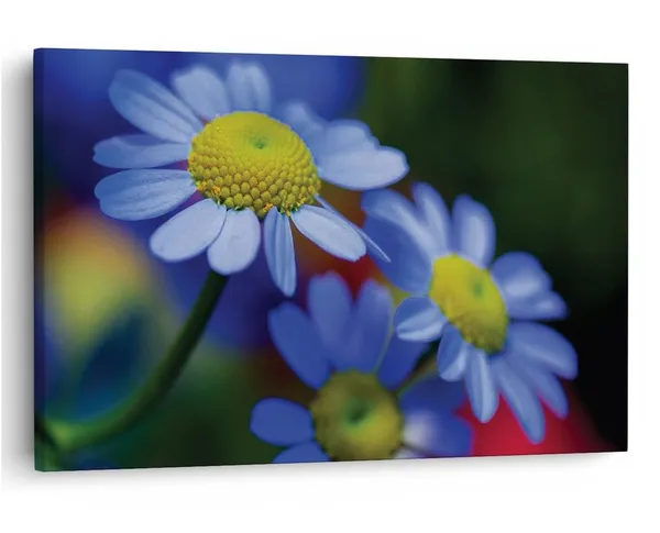 Multicolor_16_X_24_Inch,_Pine_Wood_Framed_Canvas_Paintings_|_For_Home_Decor,_Ready_To_Wall_Hanging,_Premium_Painting_|_For_|_Bedroom,_Living_Room,_Office_Wall_Decoration_|_Wall_Art_Painting,_Ct1748