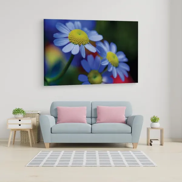 Multicolor_16_X_24_Inch,_Pine_Wood_Framed_Canvas_Paintings_|_For_Home_Decor,_Ready_To_Wall_Hanging,_Premium_Painting_|_For_|_Bedroom,_Living_Room,_Office_Wall_Decoration_|_Wall_Art_Painting,_Ct1748