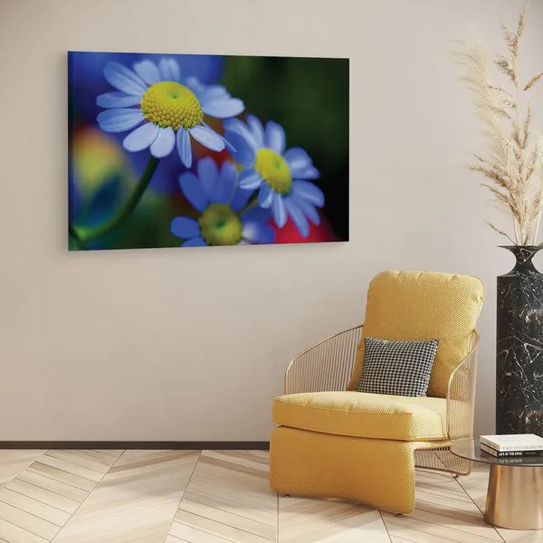 Multicolor_16_X_24_Inch,_Pine_Wood_Framed_Canvas_Paintings_|_For_Home_Decor,_Ready_To_Wall_Hanging,_Premium_Painting_|_For_|_Bedroom,_Living_Room,_Office_Wall_Decoration_|_Wall_Art_Painting,_Ct1748
