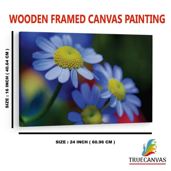 Multicolor_16_X_24_Inch,_Pine_Wood_Framed_Canvas_Paintings_|_For_Home_Decor,_Ready_To_Wall_Hanging,_Premium_Painting_|_For_|_Bedroom,_Living_Room,_Office_Wall_Decoration_|_Wall_Art_Painting,_Ct1748
