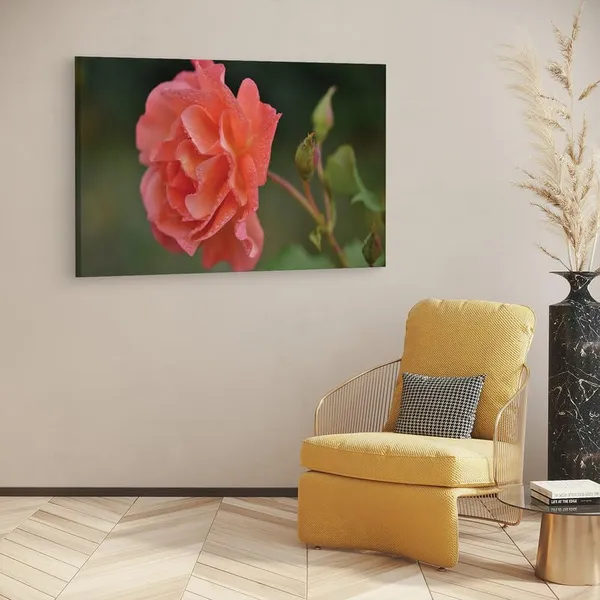 Multicolor_16_X_24_Inch,_Pine_Wood_Framed_Canvas_Paintings_|_For_Home_Decor,_Ready_To_Wall_Hanging,_Premium_Painting_|_For_|_Bedroom,_Living_Room,_Office_Wall_Decoration_|_Wall_Art_Painting,_Ct1751