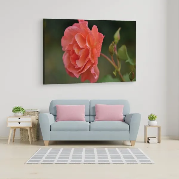 Multicolor_16_X_24_Inch,_Pine_Wood_Framed_Canvas_Paintings_|_For_Home_Decor,_Ready_To_Wall_Hanging,_Premium_Painting_|_For_|_Bedroom,_Living_Room,_Office_Wall_Decoration_|_Wall_Art_Painting,_Ct1751