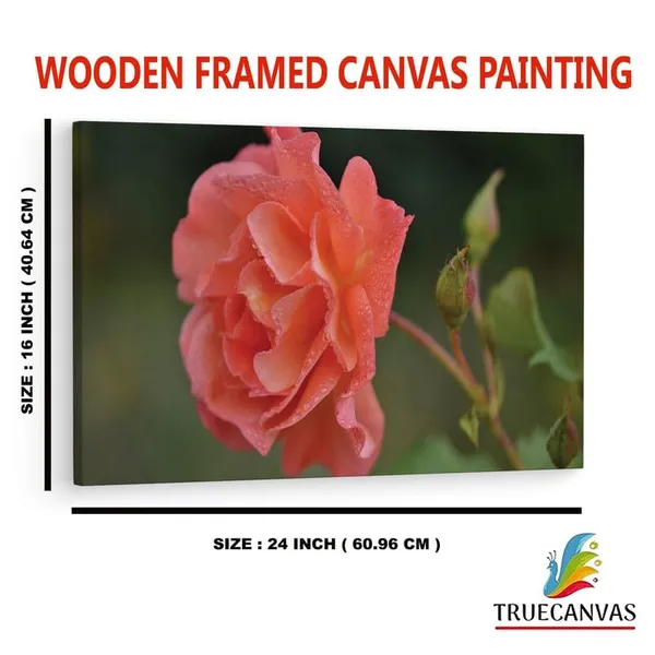 Multicolor_16_X_24_Inch,_Pine_Wood_Framed_Canvas_Paintings_|_For_Home_Decor,_Ready_To_Wall_Hanging,_Premium_Painting_|_For_|_Bedroom,_Living_Room,_Office_Wall_Decoration_|_Wall_Art_Painting,_Ct1751