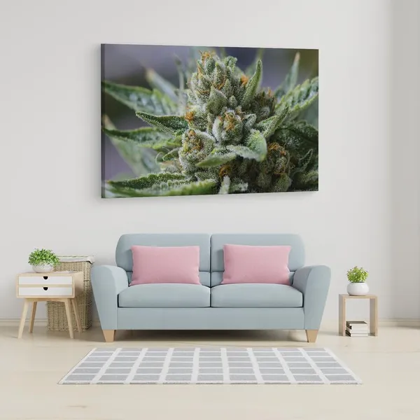 Multicolor_16_X_24_Inch,_Pine_Wood_Framed_Canvas_Paintings_|_For_Home_Decor,_Ready_To_Wall_Hanging,_Premium_Painting_|_For_|_Bedroom,_Living_Room,_Office_Wall_Decoration_|_Wall_Art_Painting,_Ct1752