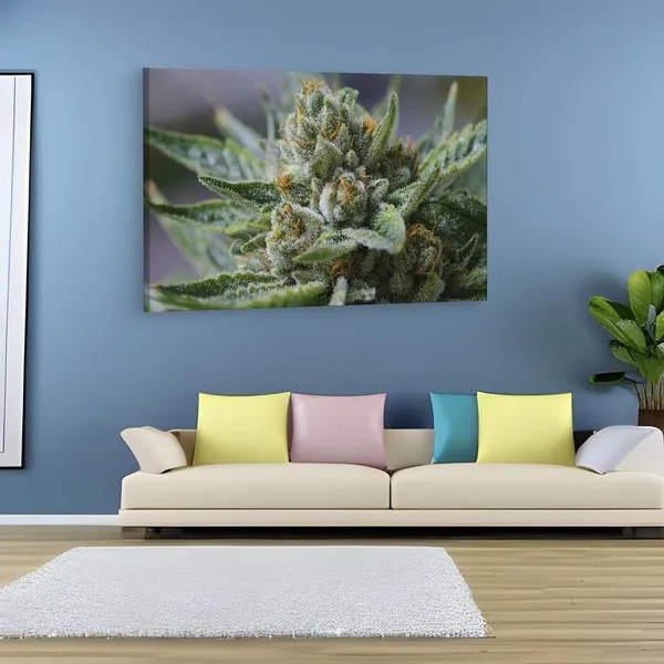Multicolor_16_X_24_Inch,_Pine_Wood_Framed_Canvas_Paintings_|_For_Home_Decor,_Ready_To_Wall_Hanging,_Premium_Painting_|_For_|_Bedroom,_Living_Room,_Office_Wall_Decoration_|_Wall_Art_Painting,_Ct1752