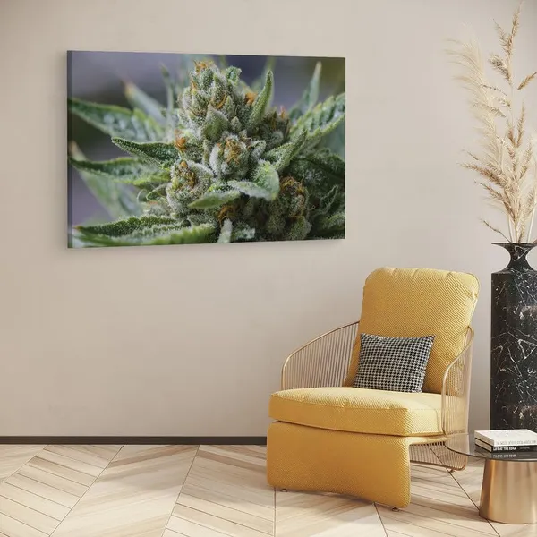 Multicolor_16_X_24_Inch,_Pine_Wood_Framed_Canvas_Paintings_|_For_Home_Decor,_Ready_To_Wall_Hanging,_Premium_Painting_|_For_|_Bedroom,_Living_Room,_Office_Wall_Decoration_|_Wall_Art_Painting,_Ct1752