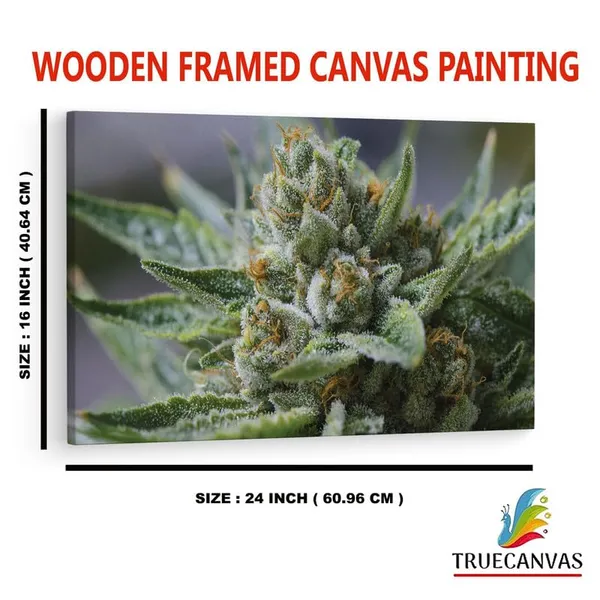 Multicolor_16_X_24_Inch,_Pine_Wood_Framed_Canvas_Paintings_|_For_Home_Decor,_Ready_To_Wall_Hanging,_Premium_Painting_|_For_|_Bedroom,_Living_Room,_Office_Wall_Decoration_|_Wall_Art_Painting,_Ct1752