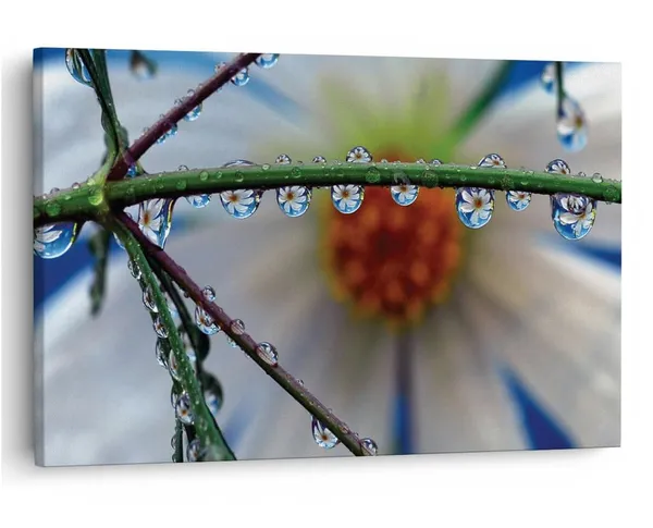 Multicolor_16_X_24_Inch,_Pine_Wood_Framed_Canvas_Paintings_|_For_Home_Decor,_Ready_To_Wall_Hanging,_Premium_Painting_|_For_|_Bedroom,_Living_Room,_Office_Wall_Decoration_|_Wall_Art_Painting,_Ct1753