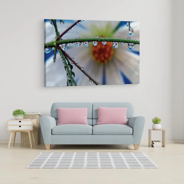 Multicolor_16_X_24_Inch,_Pine_Wood_Framed_Canvas_Paintings_|_For_Home_Decor,_Ready_To_Wall_Hanging,_Premium_Painting_|_For_|_Bedroom,_Living_Room,_Office_Wall_Decoration_|_Wall_Art_Painting,_Ct1753