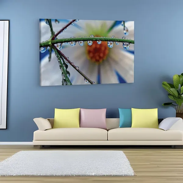 Multicolor_16_X_24_Inch,_Pine_Wood_Framed_Canvas_Paintings_|_For_Home_Decor,_Ready_To_Wall_Hanging,_Premium_Painting_|_For_|_Bedroom,_Living_Room,_Office_Wall_Decoration_|_Wall_Art_Painting,_Ct1753