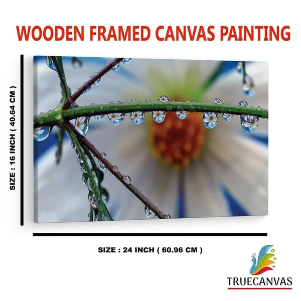 Multicolor_16_X_24_Inch,_Pine_Wood_Framed_Canvas_Paintings_|_For_Home_Decor,_Ready_To_Wall_Hanging,_Premium_Painting_|_For_|_Bedroom,_Living_Room,_Office_Wall_Decoration_|_Wall_Art_Painting,_Ct1753