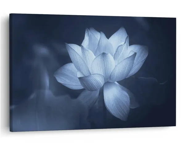 Multicolor_16_X_24_Inch,_Pine_Wood_Framed_Canvas_Paintings_|_For_Home_Decor,_Ready_To_Wall_Hanging,_Premium_Painting_|_For_|_Bedroom,_Living_Room,_Office_Wall_Decoration_|_Wall_Art_Painting,_Ct1754