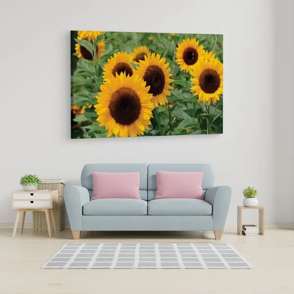 Multicolor_16_X_24_Inch,_Pine_Wood_Framed_Canvas_Paintings_|_For_Home_Decor,_Ready_To_Wall_Hanging,_Premium_Painting_|_For_|_Bedroom,_Living_Room,_Office_Wall_Decoration_|_Wall_Art_Painting,_Ct1755