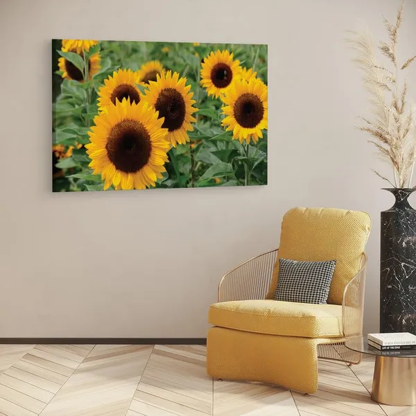 Multicolor_16_X_24_Inch,_Pine_Wood_Framed_Canvas_Paintings_|_For_Home_Decor,_Ready_To_Wall_Hanging,_Premium_Painting_|_For_|_Bedroom,_Living_Room,_Office_Wall_Decoration_|_Wall_Art_Painting,_Ct1755