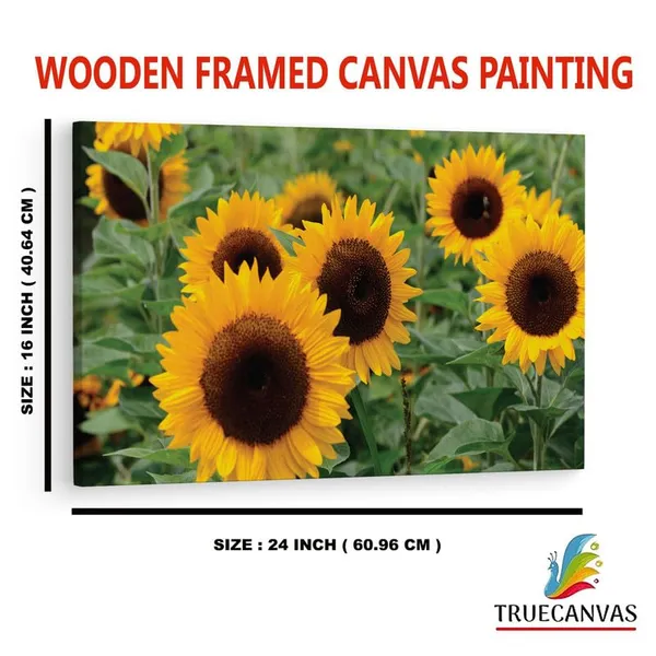 Multicolor_16_X_24_Inch,_Pine_Wood_Framed_Canvas_Paintings_|_For_Home_Decor,_Ready_To_Wall_Hanging,_Premium_Painting_|_For_|_Bedroom,_Living_Room,_Office_Wall_Decoration_|_Wall_Art_Painting,_Ct1755