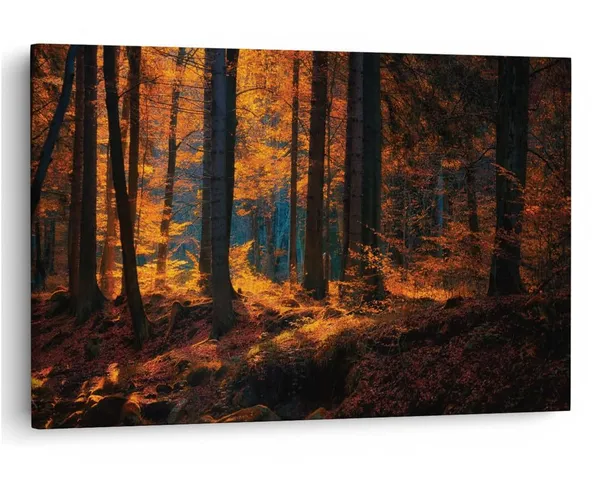 Multicolor_16_X_24_Inch,_Pine_Wood_Framed_Canvas_Paintings_|_For_Home_Decor,_Ready_To_Wall_Hanging,_Premium_Painting_|_For_|_Bedroom,_Living_Room,_Office_Wall_Decoration_|_Wall_Art_Painting,_Ct1756