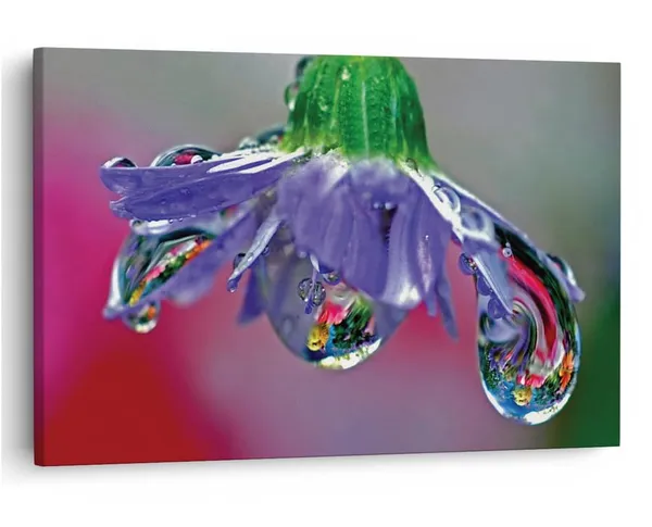 Multicolor_16_X_24_Inch,_Pine_Wood_Framed_Canvas_Paintings_|_For_Home_Decor,_Ready_To_Wall_Hanging,_Premium_Painting_|_For_|_Bedroom,_Living_Room,_Office_Wall_Decoration_|_Wall_Art_Painting,_Ct1757