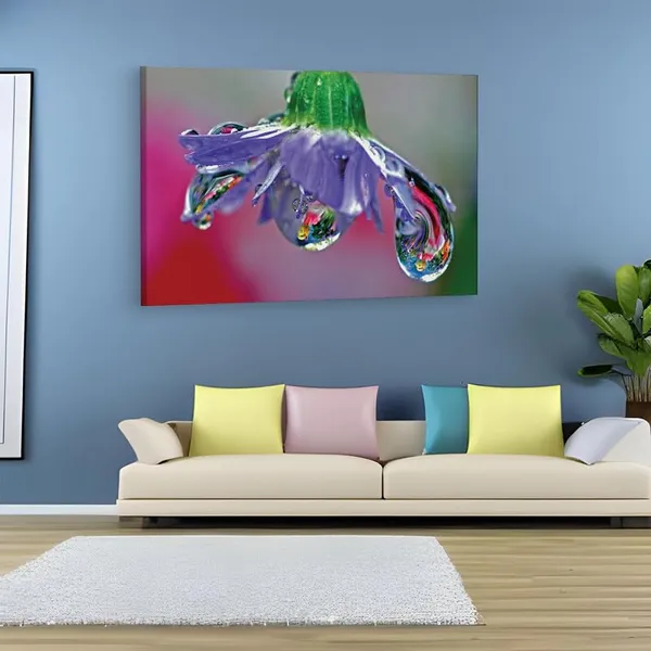 Multicolor_16_X_24_Inch,_Pine_Wood_Framed_Canvas_Paintings_|_For_Home_Decor,_Ready_To_Wall_Hanging,_Premium_Painting_|_For_|_Bedroom,_Living_Room,_Office_Wall_Decoration_|_Wall_Art_Painting,_Ct1757