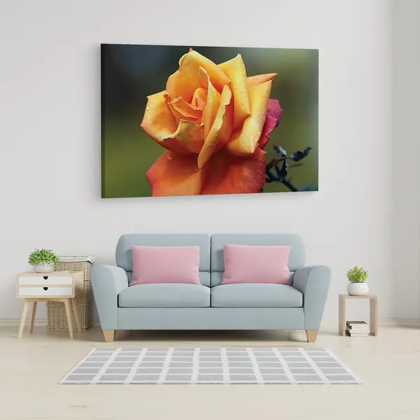 Multicolor_16_X_24_Inch,_Pine_Wood_Framed_Canvas_Paintings_|_For_Home_Decor,_Ready_To_Wall_Hanging,_Premium_Painting_|_For_|_Bedroom,_Living_Room,_Office_Wall_Decoration_|_Wall_Art_Painting,_Ct1759