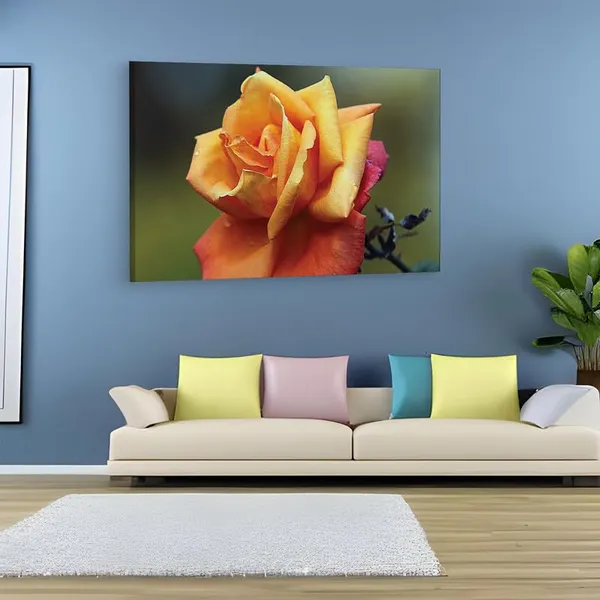Multicolor_16_X_24_Inch,_Pine_Wood_Framed_Canvas_Paintings_|_For_Home_Decor,_Ready_To_Wall_Hanging,_Premium_Painting_|_For_|_Bedroom,_Living_Room,_Office_Wall_Decoration_|_Wall_Art_Painting,_Ct1759
