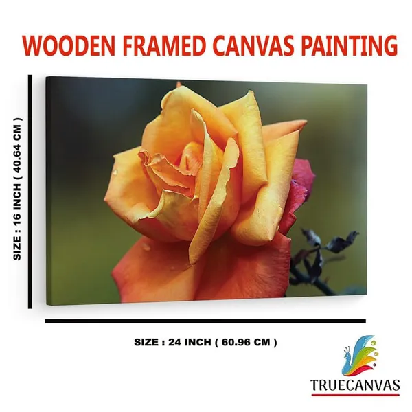 Multicolor_16_X_24_Inch,_Pine_Wood_Framed_Canvas_Paintings_|_For_Home_Decor,_Ready_To_Wall_Hanging,_Premium_Painting_|_For_|_Bedroom,_Living_Room,_Office_Wall_Decoration_|_Wall_Art_Painting,_Ct1759