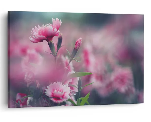 Multicolor_16_X_24_Inch,_Pine_Wood_Framed_Canvas_Paintings_|_For_Home_Decor,_Ready_To_Wall_Hanging,_Premium_Painting_|_For_|_Bedroom,_Living_Room,_Office_Wall_Decoration_|_Wall_Art_Painting,_Ct1764