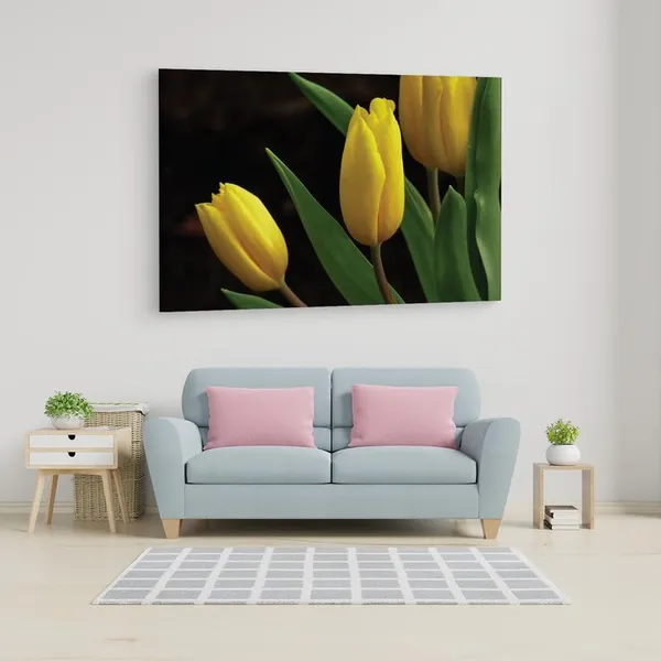 Multicolor_16_X_24_Inch,_Pine_Wood_Framed_Canvas_Paintings_|_For_Home_Decor,_Ready_To_Wall_Hanging,_Premium_Painting_|_For_|_Bedroom,_Living_Room,_Office_Wall_Decoration_|_Wall_Art_Painting,_Ct1765