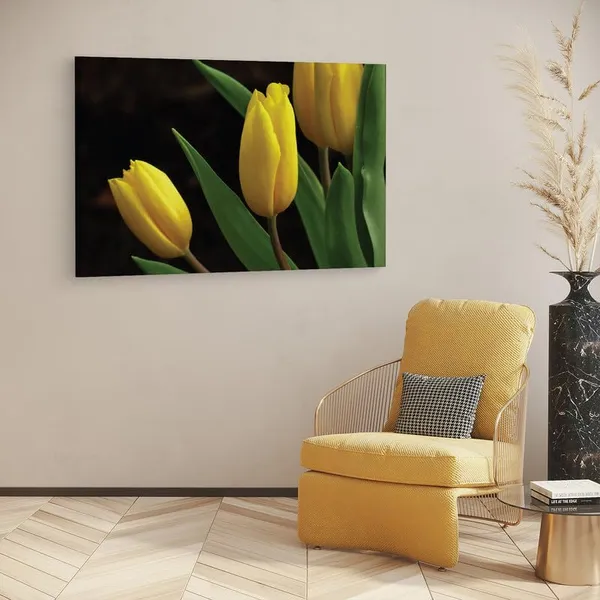 Multicolor_16_X_24_Inch,_Pine_Wood_Framed_Canvas_Paintings_|_For_Home_Decor,_Ready_To_Wall_Hanging,_Premium_Painting_|_For_|_Bedroom,_Living_Room,_Office_Wall_Decoration_|_Wall_Art_Painting,_Ct1765