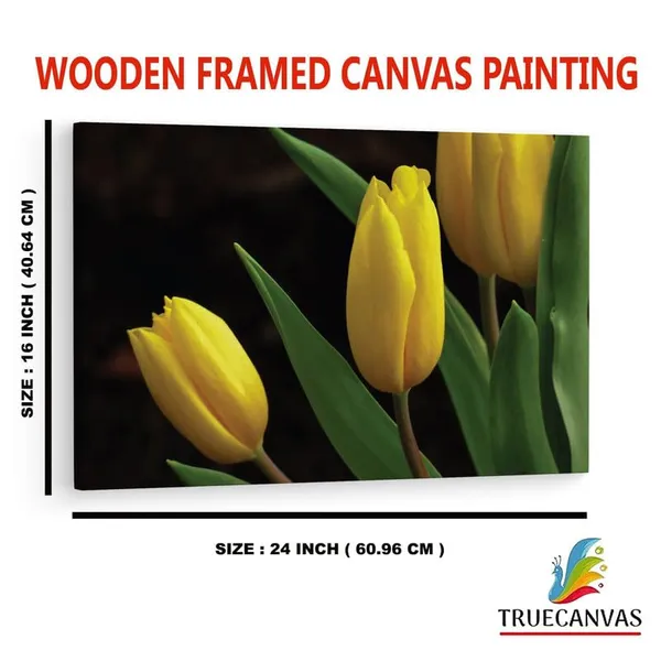 Multicolor_16_X_24_Inch,_Pine_Wood_Framed_Canvas_Paintings_|_For_Home_Decor,_Ready_To_Wall_Hanging,_Premium_Painting_|_For_|_Bedroom,_Living_Room,_Office_Wall_Decoration_|_Wall_Art_Painting,_Ct1765