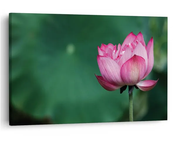 Multicolor_16_X_24_Inch,_Pine_Wood_Framed_Canvas_Paintings_|_For_Home_Decor,_Ready_To_Wall_Hanging,_Premium_Painting_|_For_|_Bedroom,_Living_Room,_Office_Wall_Decoration_|_Wall_Art_Painting,_Ct1766