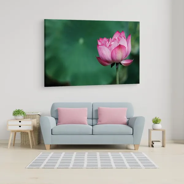 Multicolor_16_X_24_Inch,_Pine_Wood_Framed_Canvas_Paintings_|_For_Home_Decor,_Ready_To_Wall_Hanging,_Premium_Painting_|_For_|_Bedroom,_Living_Room,_Office_Wall_Decoration_|_Wall_Art_Painting,_Ct1766