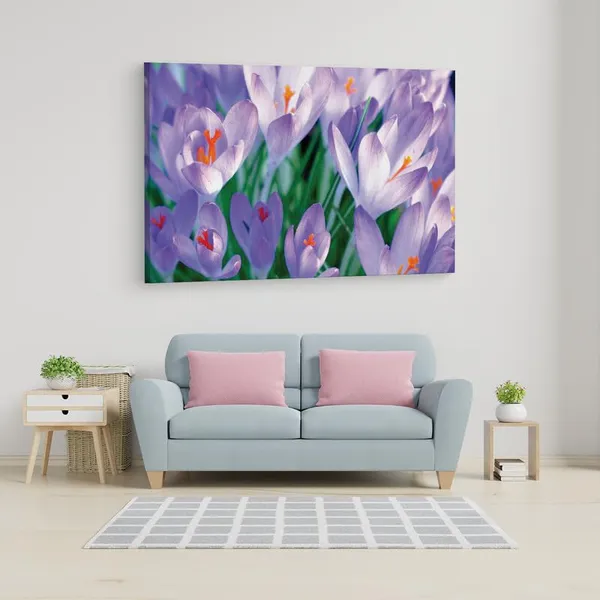 Multicolor_16_X_24_Inch,_Pine_Wood_Framed_Canvas_Paintings_|_For_Home_Decor,_Ready_To_Wall_Hanging,_Premium_Painting_|_For_|_Bedroom,_Living_Room,_Office_Wall_Decoration_|_Wall_Art_Painting,_Ct1770