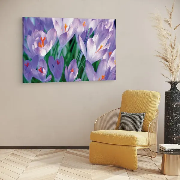 Multicolor_16_X_24_Inch,_Pine_Wood_Framed_Canvas_Paintings_|_For_Home_Decor,_Ready_To_Wall_Hanging,_Premium_Painting_|_For_|_Bedroom,_Living_Room,_Office_Wall_Decoration_|_Wall_Art_Painting,_Ct1770