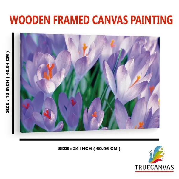 Multicolor_16_X_24_Inch,_Pine_Wood_Framed_Canvas_Paintings_|_For_Home_Decor,_Ready_To_Wall_Hanging,_Premium_Painting_|_For_|_Bedroom,_Living_Room,_Office_Wall_Decoration_|_Wall_Art_Painting,_Ct1770