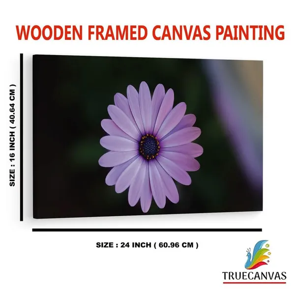 Multicolor_16_X_24_Inch,_Pine_Wood_Framed_Canvas_Paintings_|_For_Home_Decor,_Ready_To_Wall_Hanging,_Premium_Painting_|_For_|_Bedroom,_Living_Room,_Office_Wall_Decoration_|_Wall_Art_Painting,_Ct1771