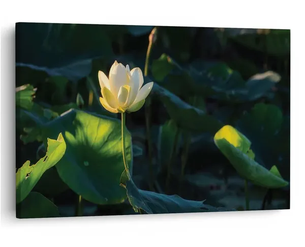 Multicolor_16_X_24_Inch,_Pine_Wood_Framed_Canvas_Paintings_|_For_Home_Decor,_Ready_To_Wall_Hanging,_Premium_Painting_|_For_|_Bedroom,_Living_Room,_Office_Wall_Decoration_|_Wall_Art_Painting,_Ct1784