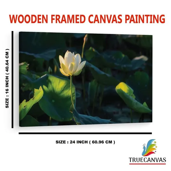 Multicolor_16_X_24_Inch,_Pine_Wood_Framed_Canvas_Paintings_|_For_Home_Decor,_Ready_To_Wall_Hanging,_Premium_Painting_|_For_|_Bedroom,_Living_Room,_Office_Wall_Decoration_|_Wall_Art_Painting,_Ct1784