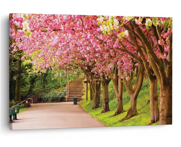 Multicolor_16_X_24_Inch,_Pine_Wood_Framed_Canvas_Paintings_|_For_Home_Decor,_Ready_To_Wall_Hanging,_Premium_Painting_|_For_|_Bedroom,_Living_Room,_Office_Wall_Decoration_|_Wall_Art_Painting,_Ct1789