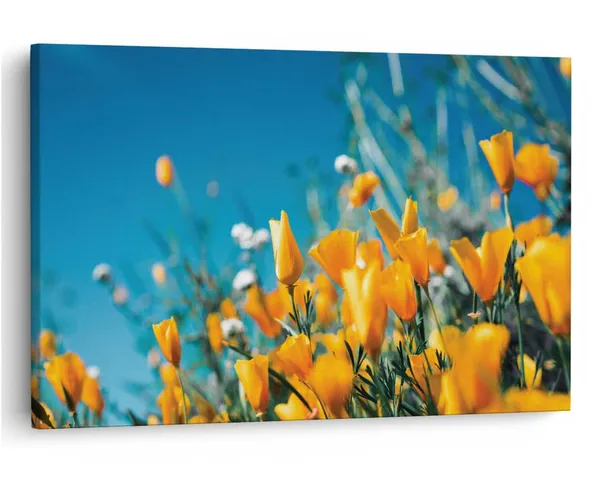 Multicolor_16_X_24_Inch,_Pine_Wood_Framed_Canvas_Paintings_|_For_Home_Decor,_Ready_To_Wall_Hanging,_Premium_Painting_|_For_|_Bedroom,_Living_Room,_Office_Wall_Decoration_|_Wall_Art_Painting,_Ct1790
